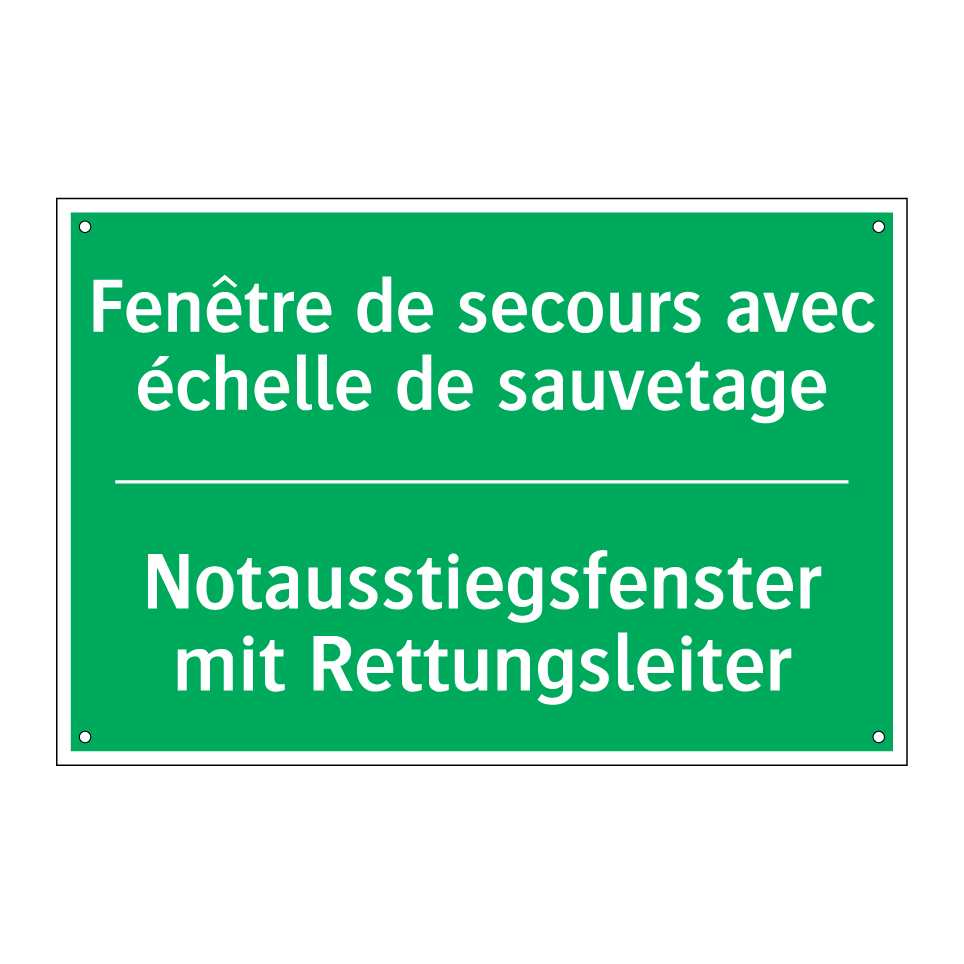 Notausstiegsfenster mit Rettungsleiter /.../ - Fenêtre de secours avec échelle /.../