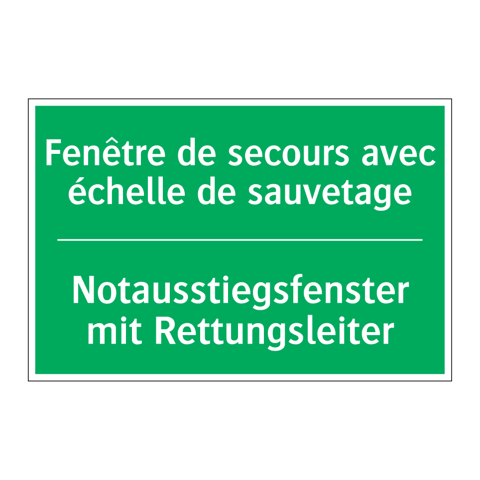 Notausstiegsfenster mit Rettungsleiter /.../ - Fenêtre de secours avec échelle /.../