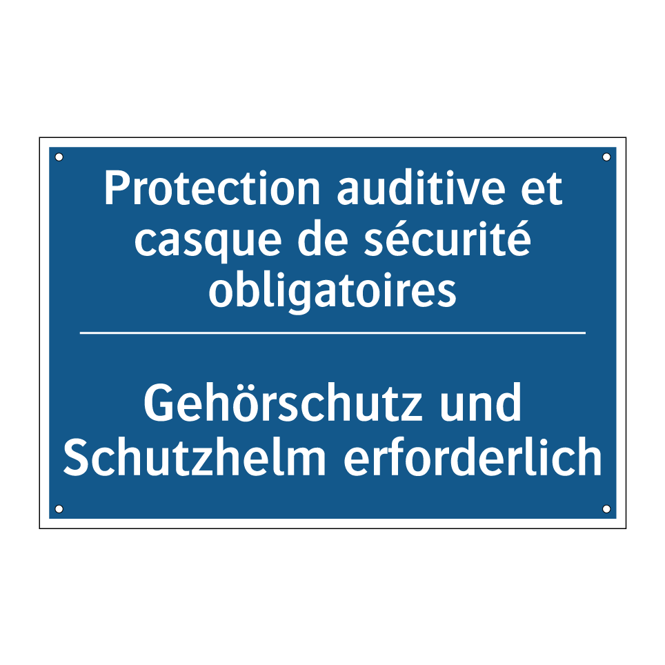 Gehörschutz und Schutzhelm erforderlich /.../ - Protection auditive et casque /.../
