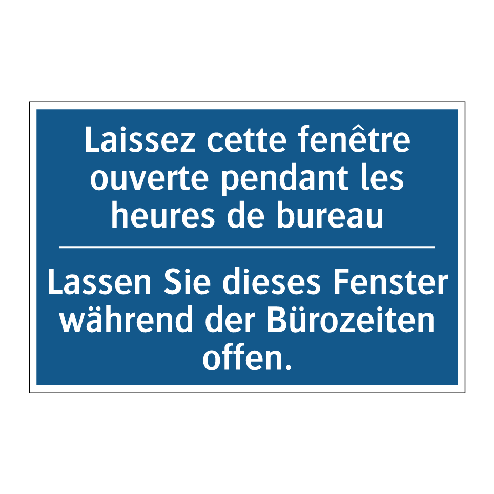 Lassen Sie dieses Fenster während /.../ - Laissez cette fenêtre ouverte /.../