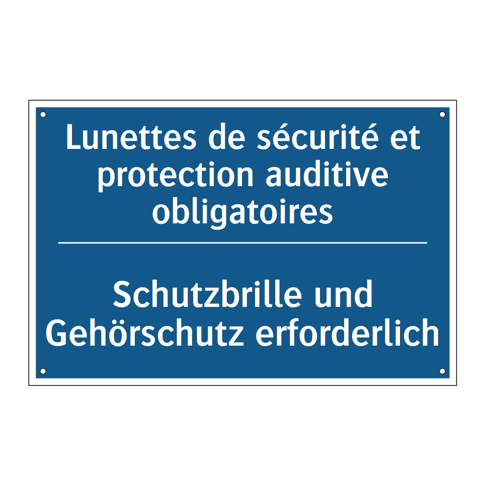 Schutzbrille und Gehörschutz erforderlich /.../ - Lunettes de sécurité et protection /.../