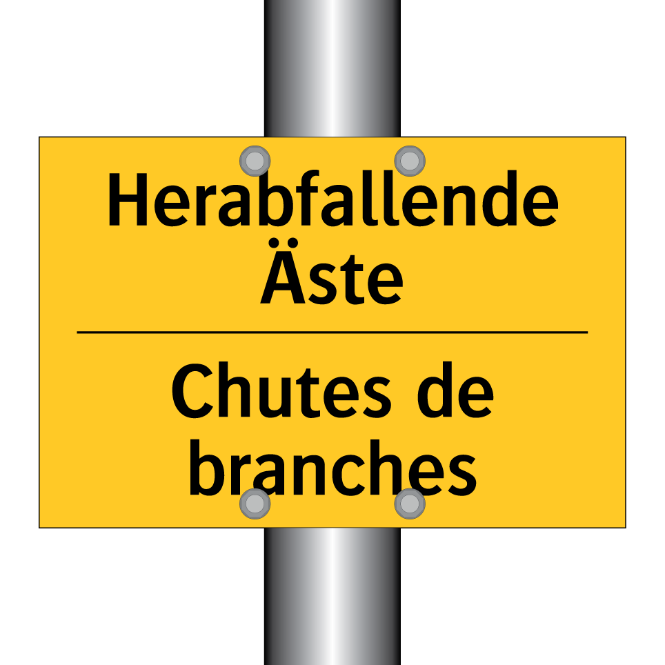 Herabfallende Äste - Chutes de branches