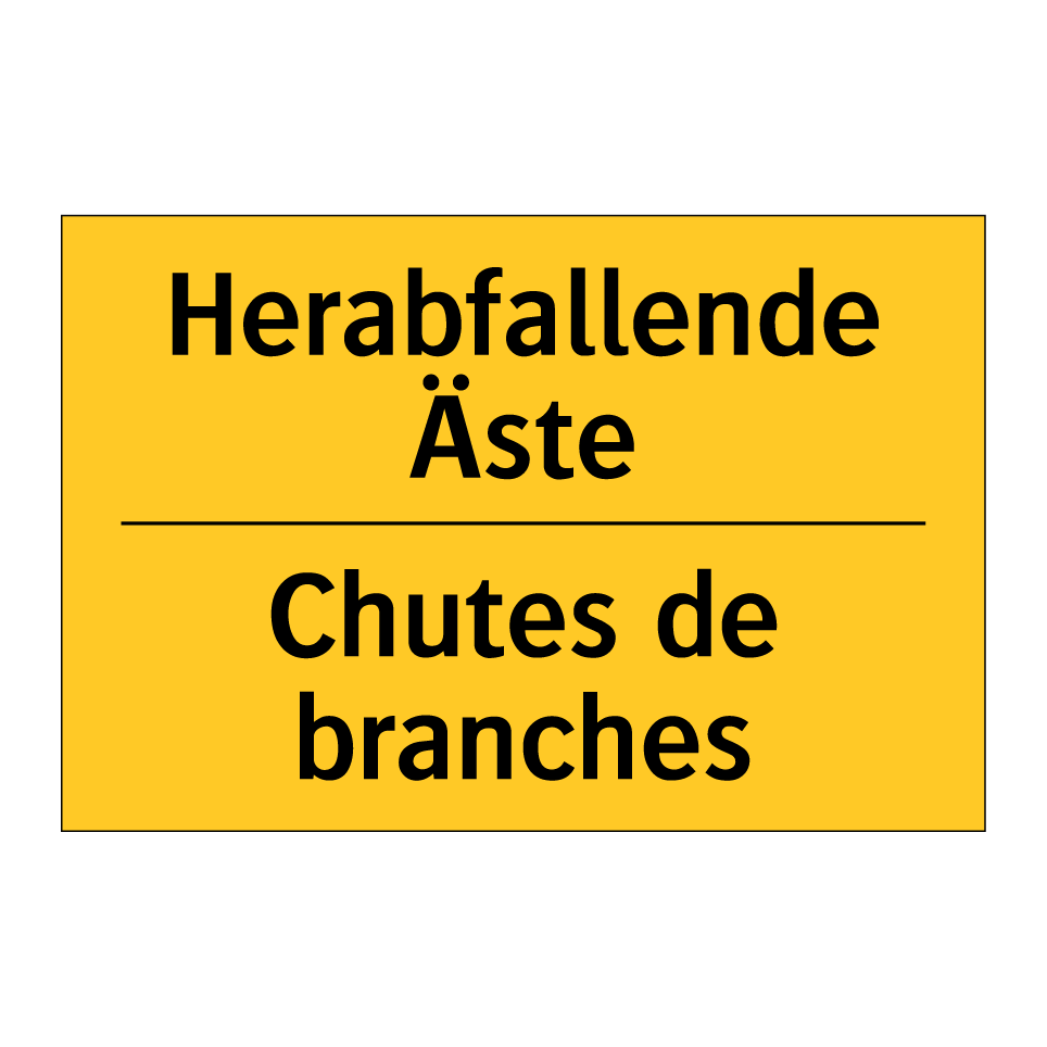 Herabfallende Äste - Chutes de branches