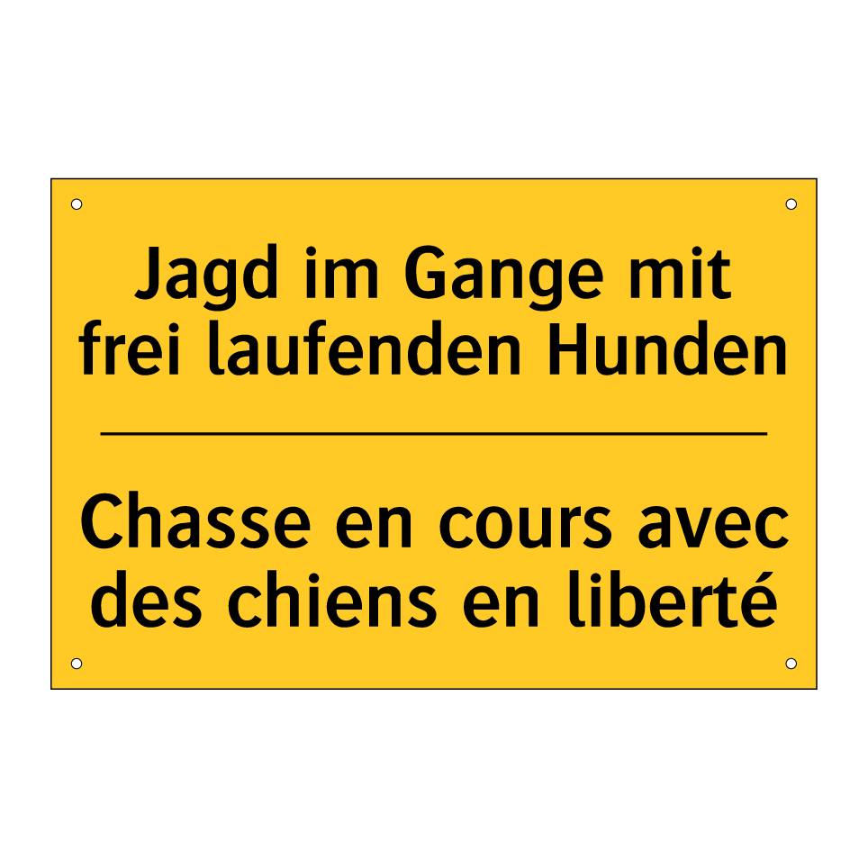 Jagd im Gange mit frei laufenden /.../ - Chasse en cours avec des chiens /.../