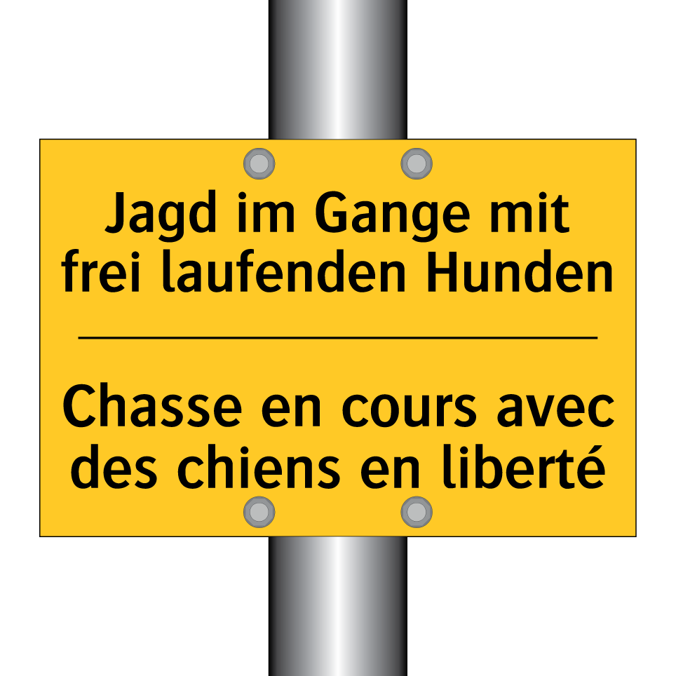 Jagd im Gange mit frei laufenden /.../ - Chasse en cours avec des chiens /.../
