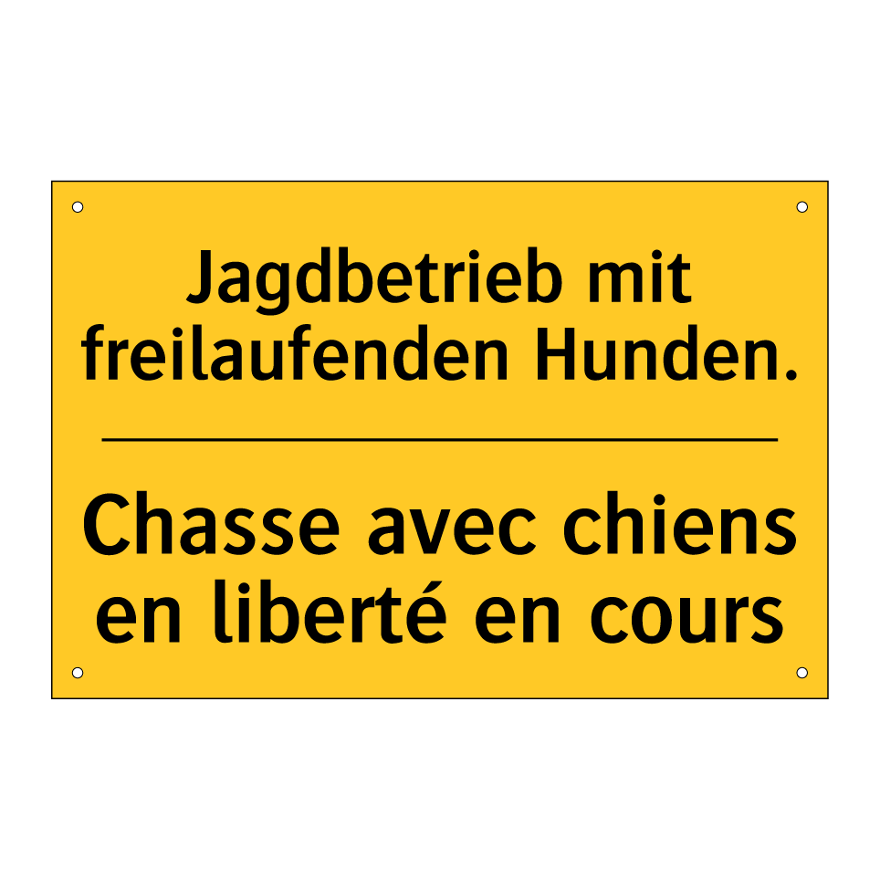 Jagdbetrieb mit freilaufenden /.../ - Chasse avec chiens en liberté /.../