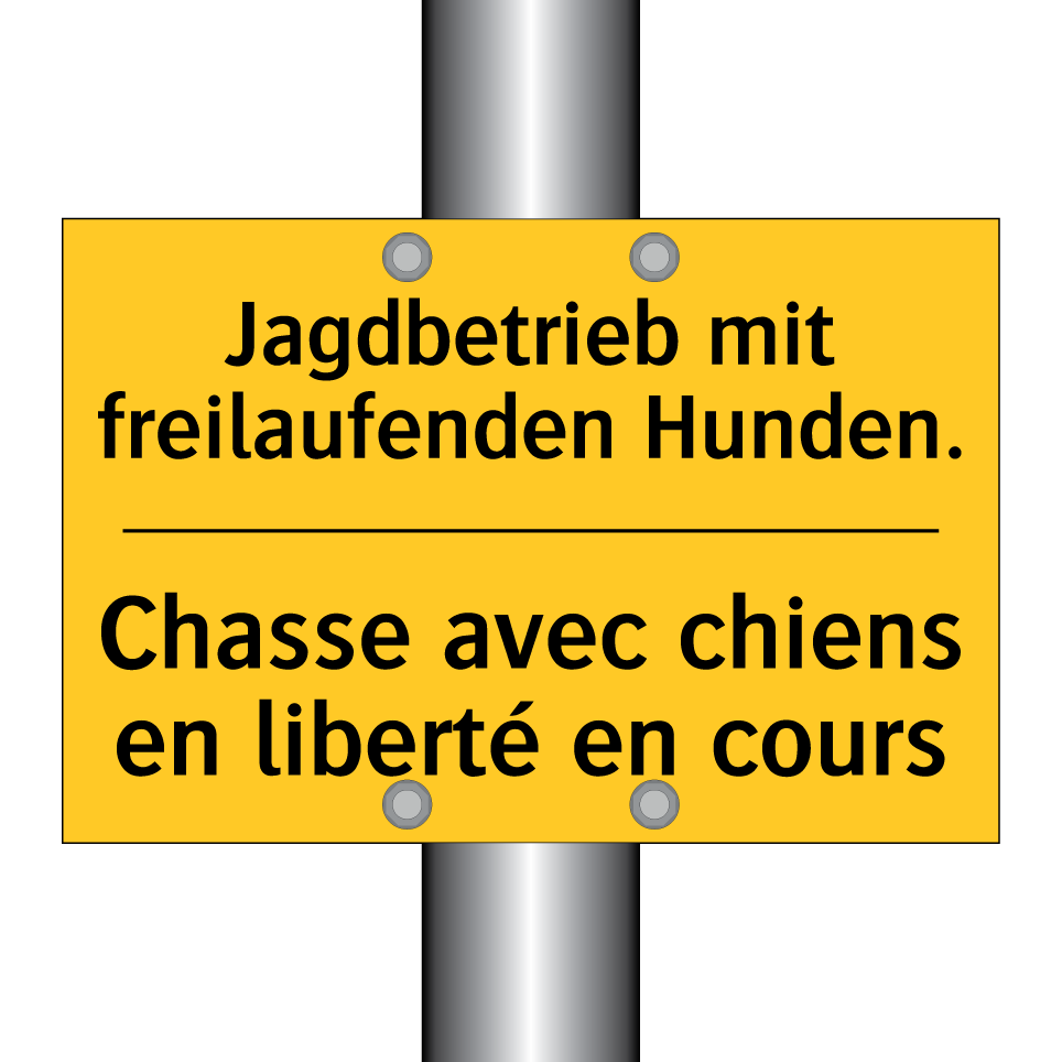 Jagdbetrieb mit freilaufenden /.../ - Chasse avec chiens en liberté /.../