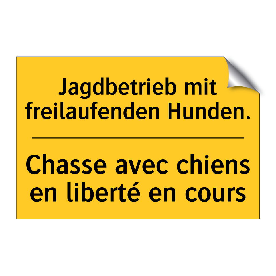 Jagdbetrieb mit freilaufenden /.../ - Chasse avec chiens en liberté /.../