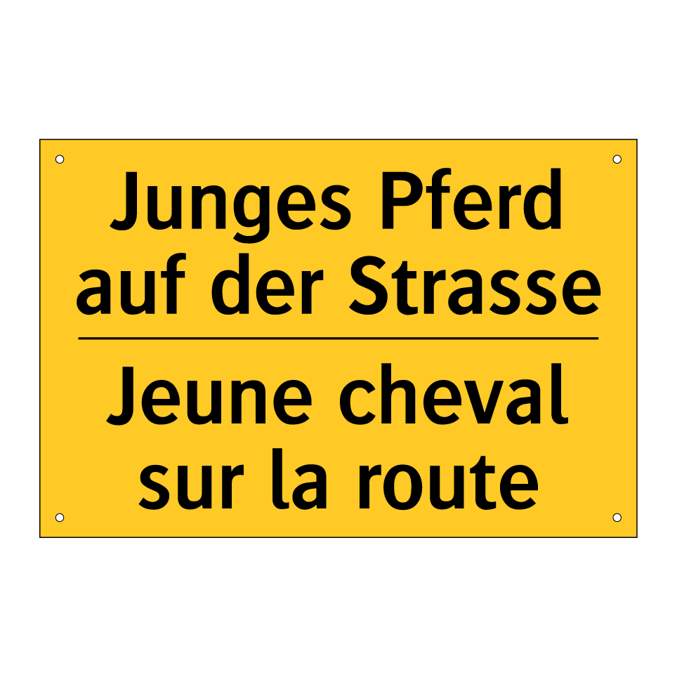 Junges Pferd auf der Strasse - Jeune cheval sur la route