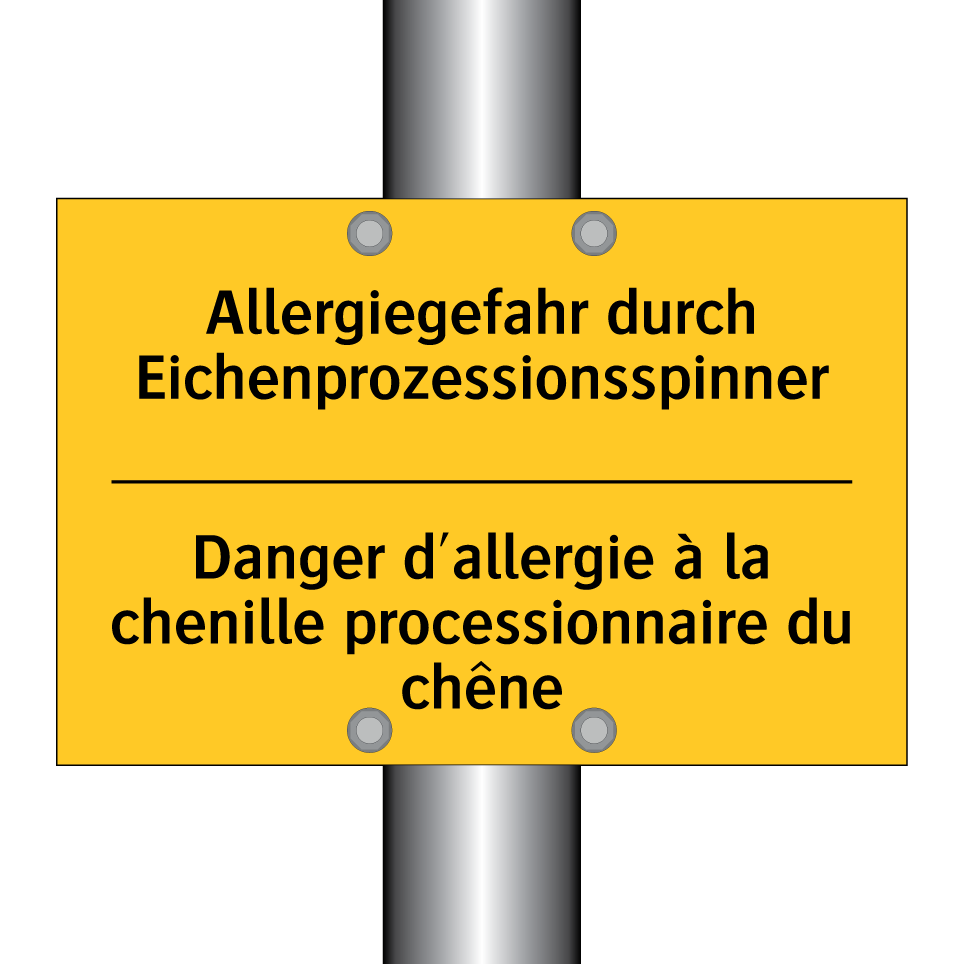 Allergiegefahr durch Eichenprozessionsspinner /.../ - Danger d'allergie à la chenille /.../