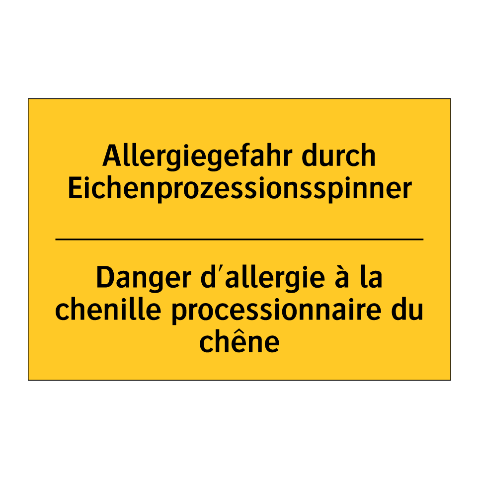 Allergiegefahr durch Eichenprozessionsspinner /.../ - Danger d'allergie à la chenille /.../