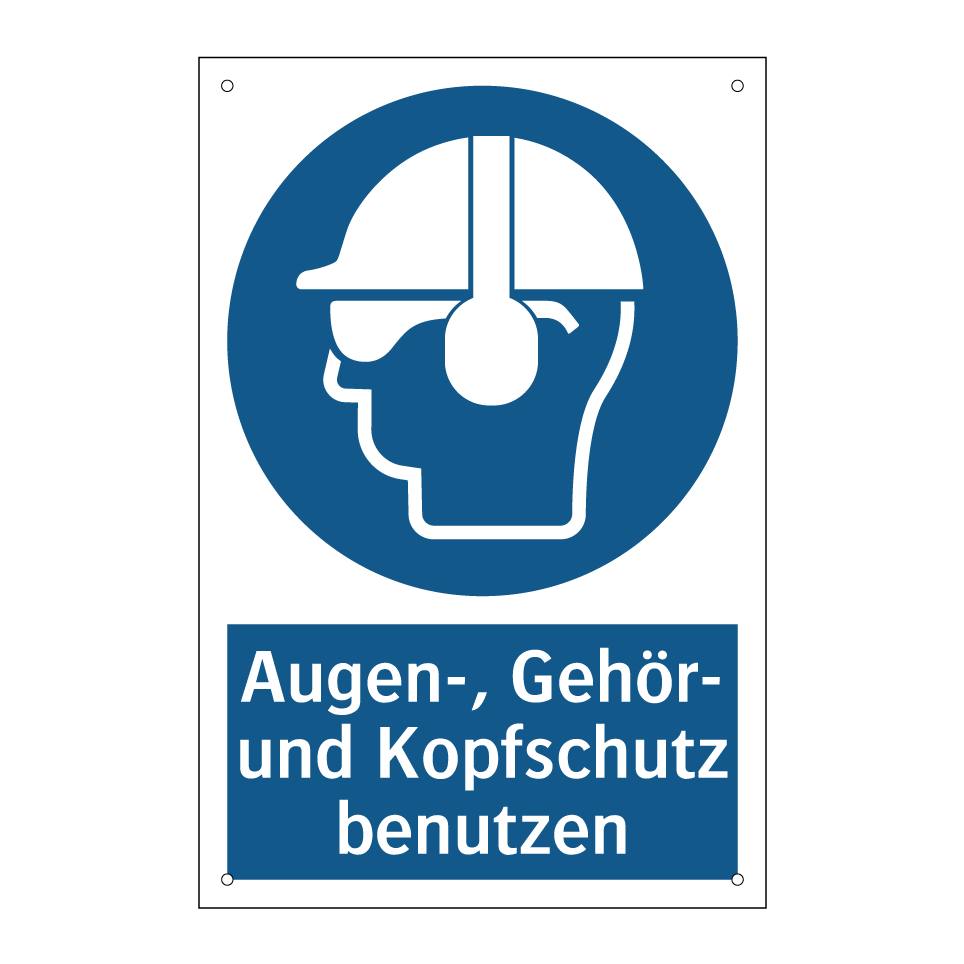 Augen-, Gehör- und Kopfschutz benutzen