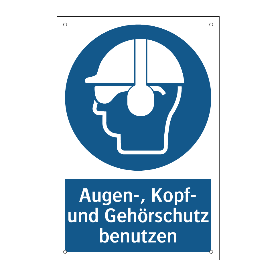 Augen-, Kopf- und Gehörschutz benutzen