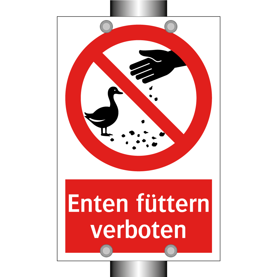 Enten füttern verboten