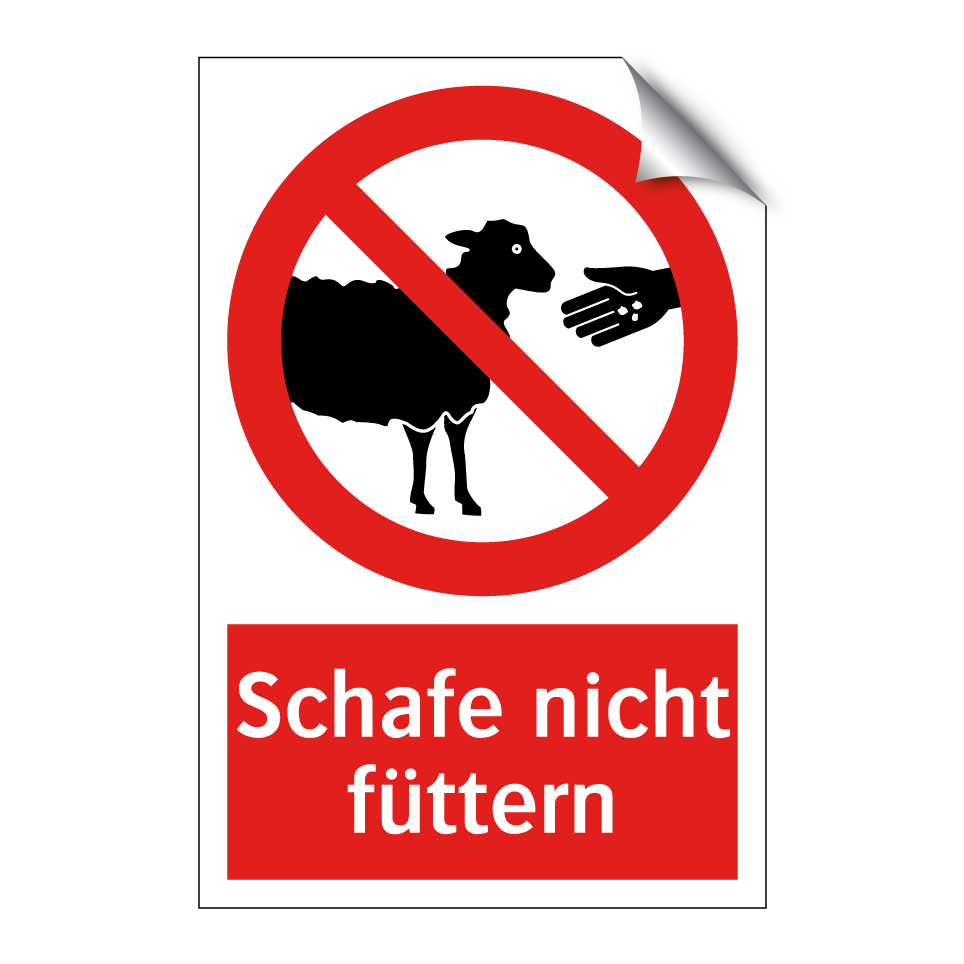 Schafe nicht füttern