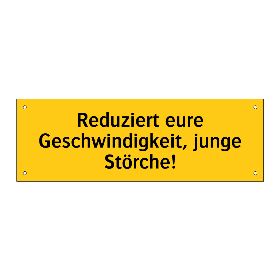 Reduziert eure Geschwindigkeit, junge Störche!