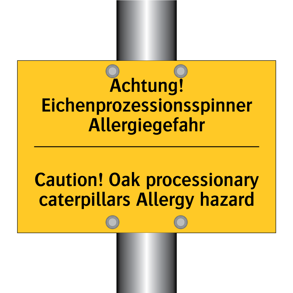 Achtung! Eichenprozessionsspinner /.../ - Caution! Oak processionary caterpillars /.../