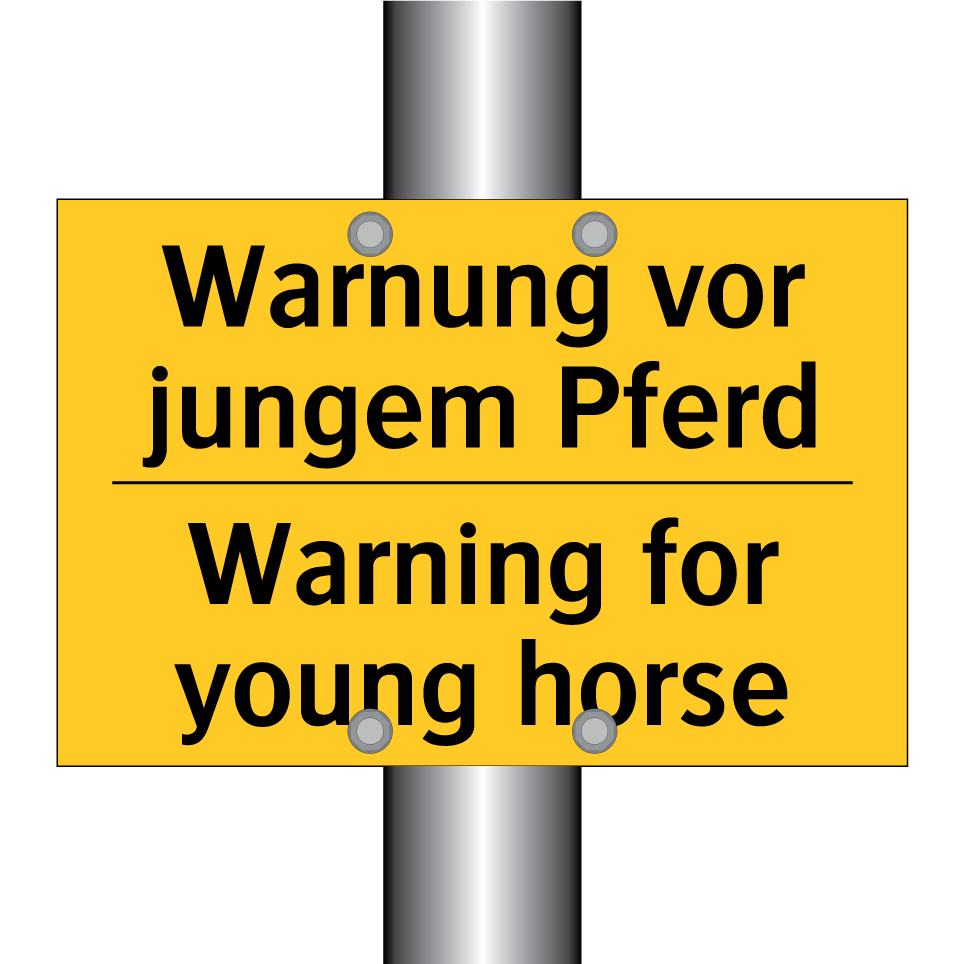 Warnung vor jungem Pferd - Warning for young horse