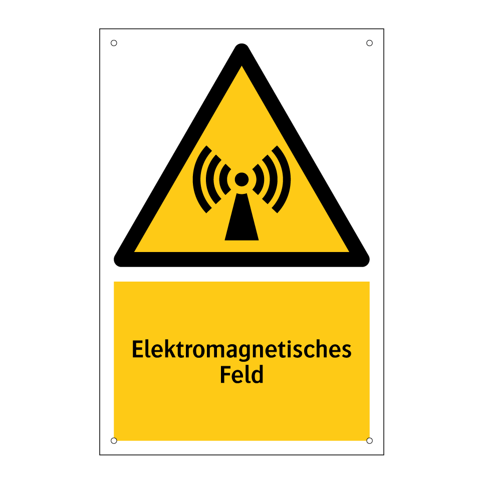 Elektromagnetisches Feld