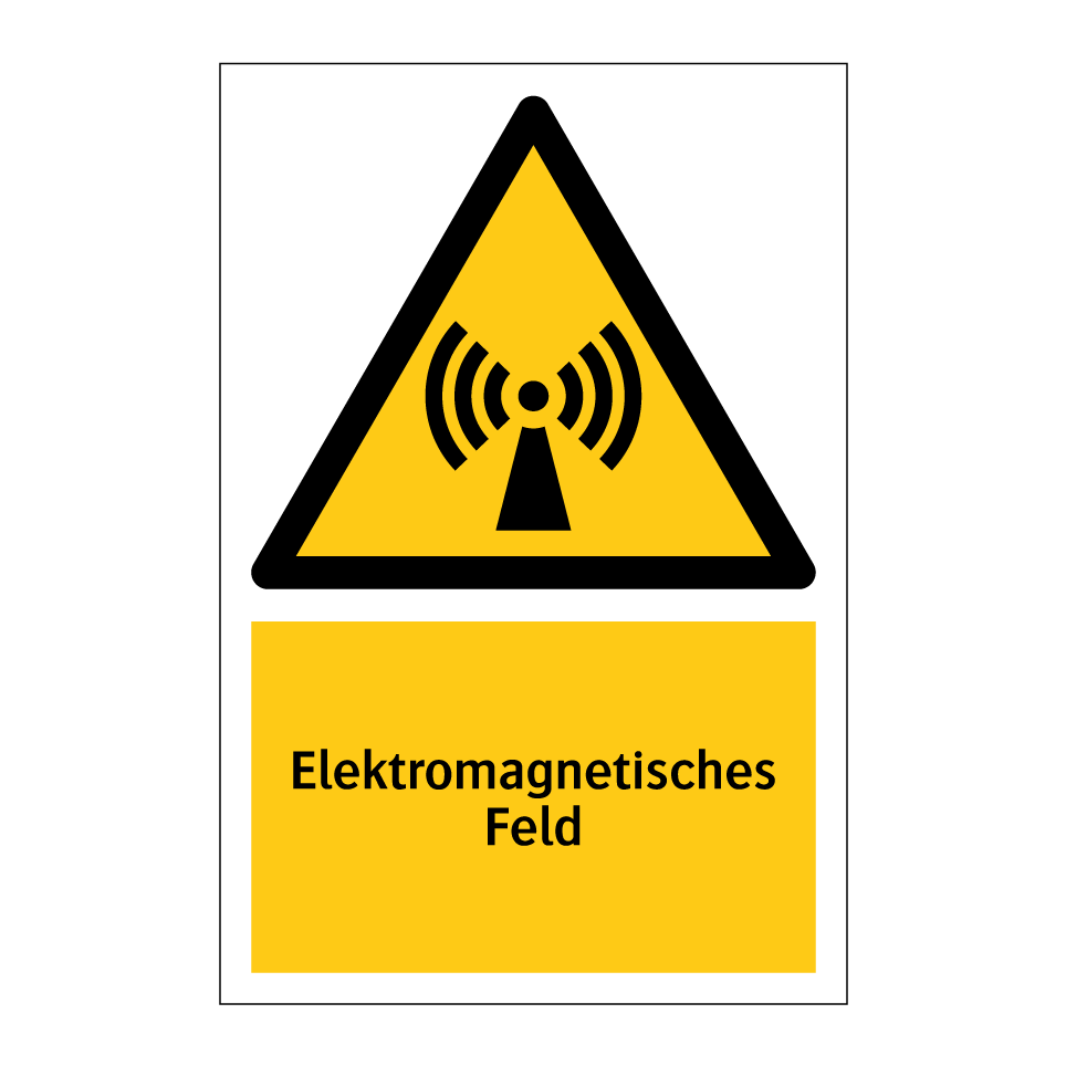 Elektromagnetisches Feld