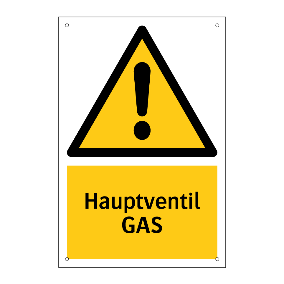 Hauptventil GAS