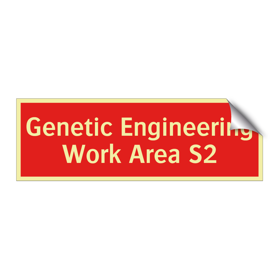 Genetic Engineering Work Area S2