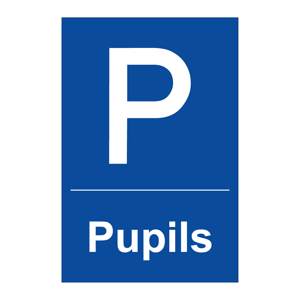 Pupils