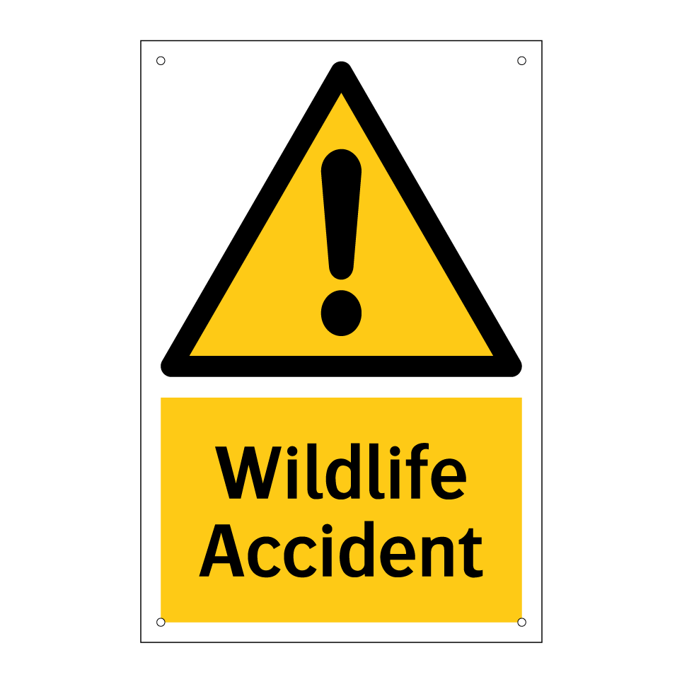 Wildlife Accident