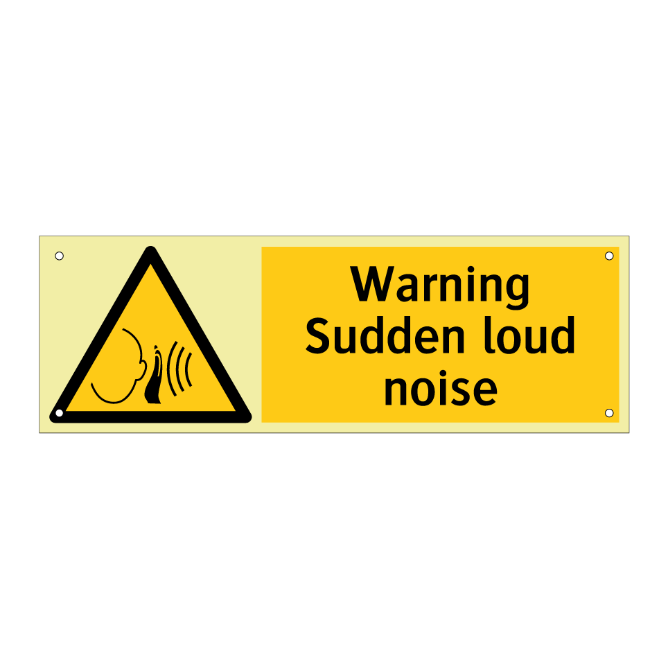 Warning Sudden loud noise