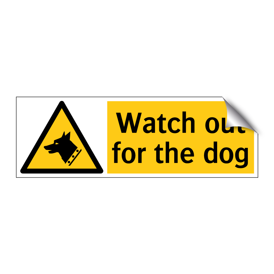 Watch out for the dog