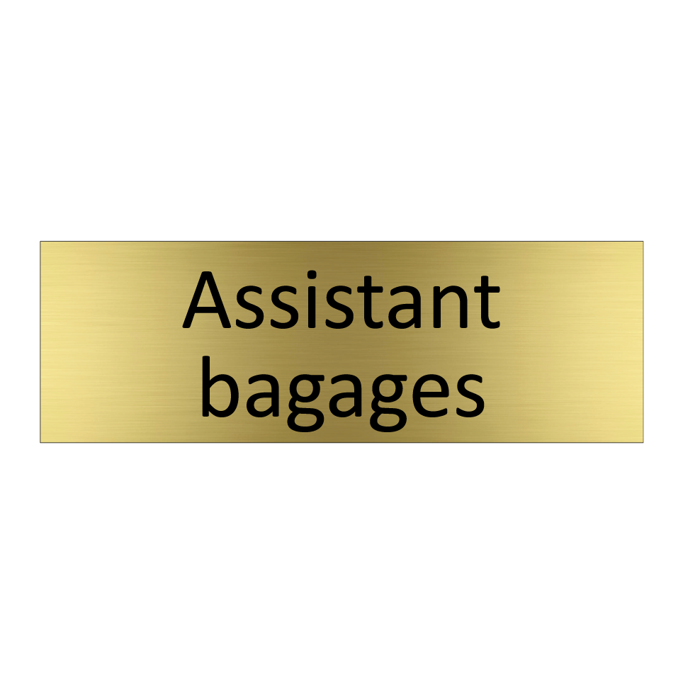 Assistant bagages