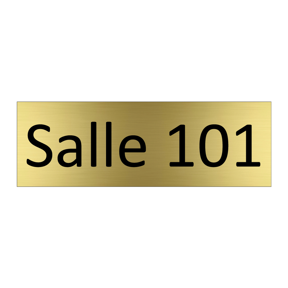 Salle 101