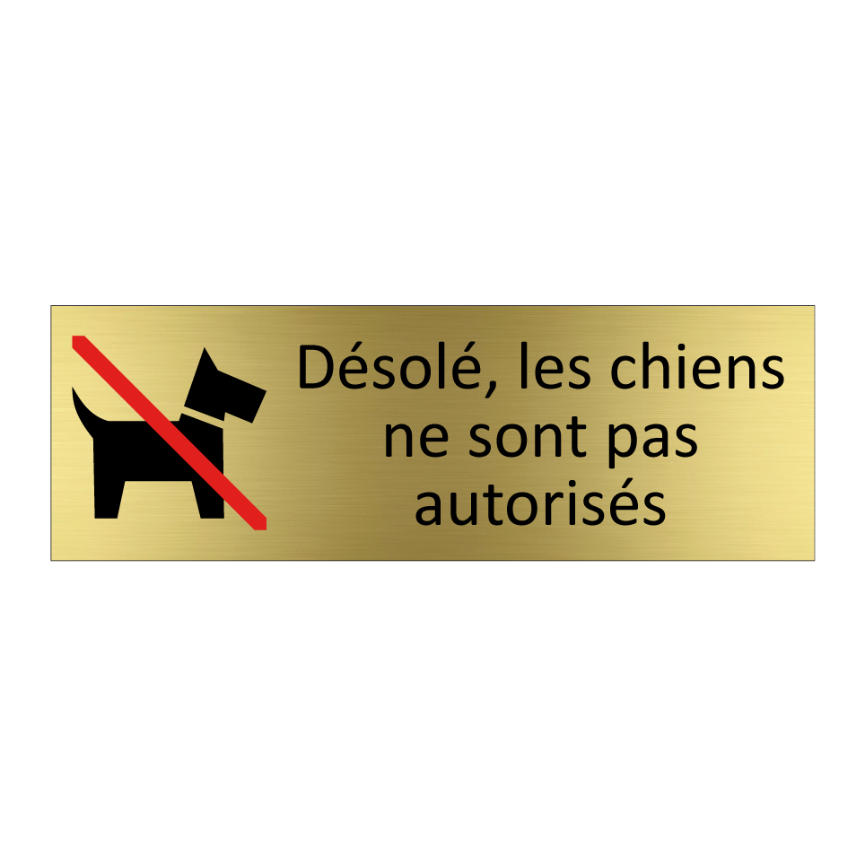 Désolé, les chiens ne sont pas autorisés