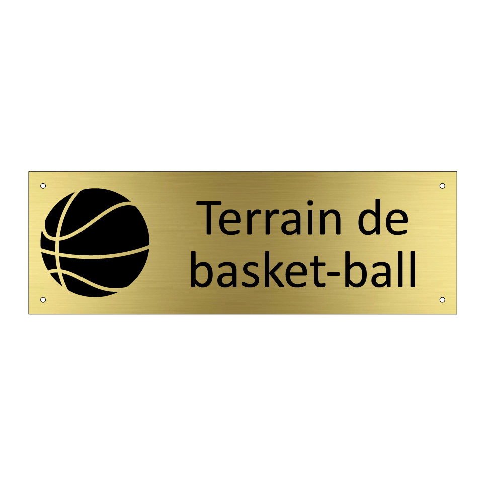 Terrain de basket-ball