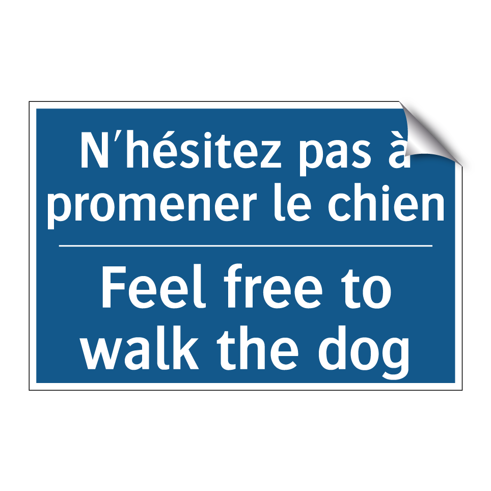 N'hésitez pas à promener le chien /.../ - Feel free to walk the dog