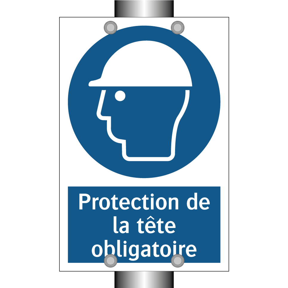Protection de la tête obligatoire.