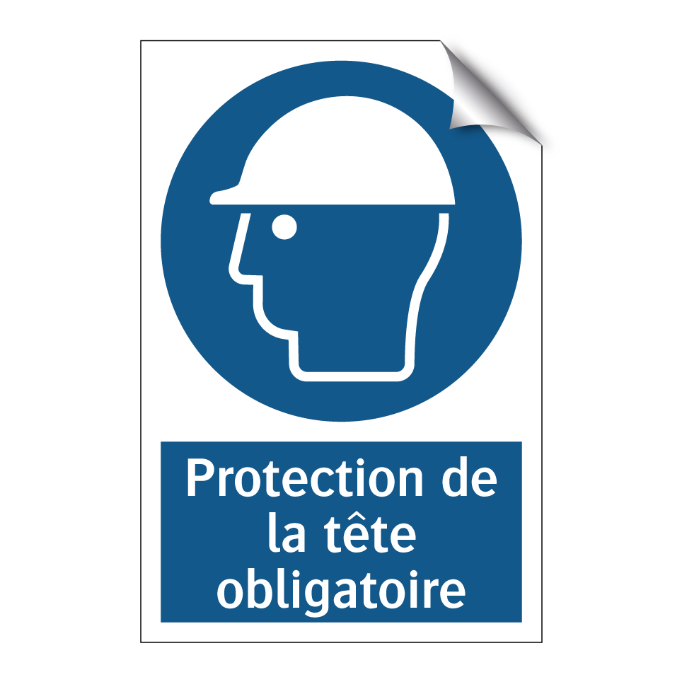 Protection de la tête obligatoire.