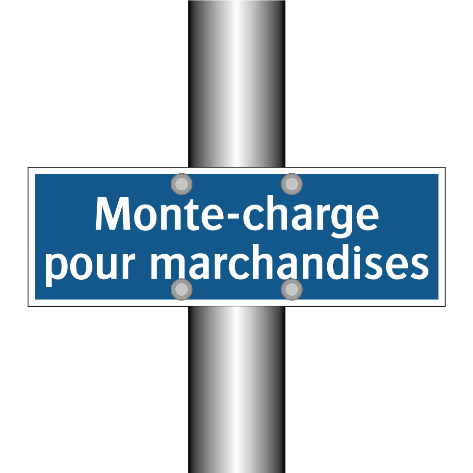 Monte-charge pour marchandises