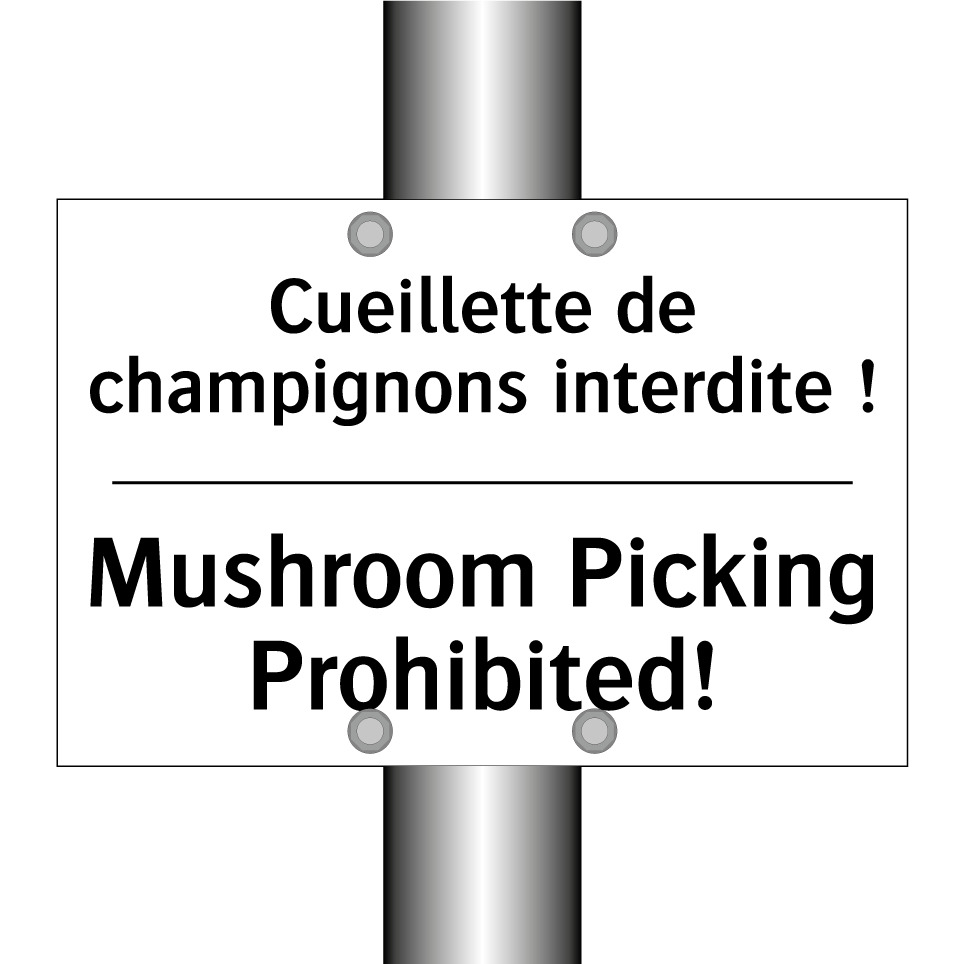 Cueillette de champignons interdite /.../ - Mushroom Picking Prohibited!