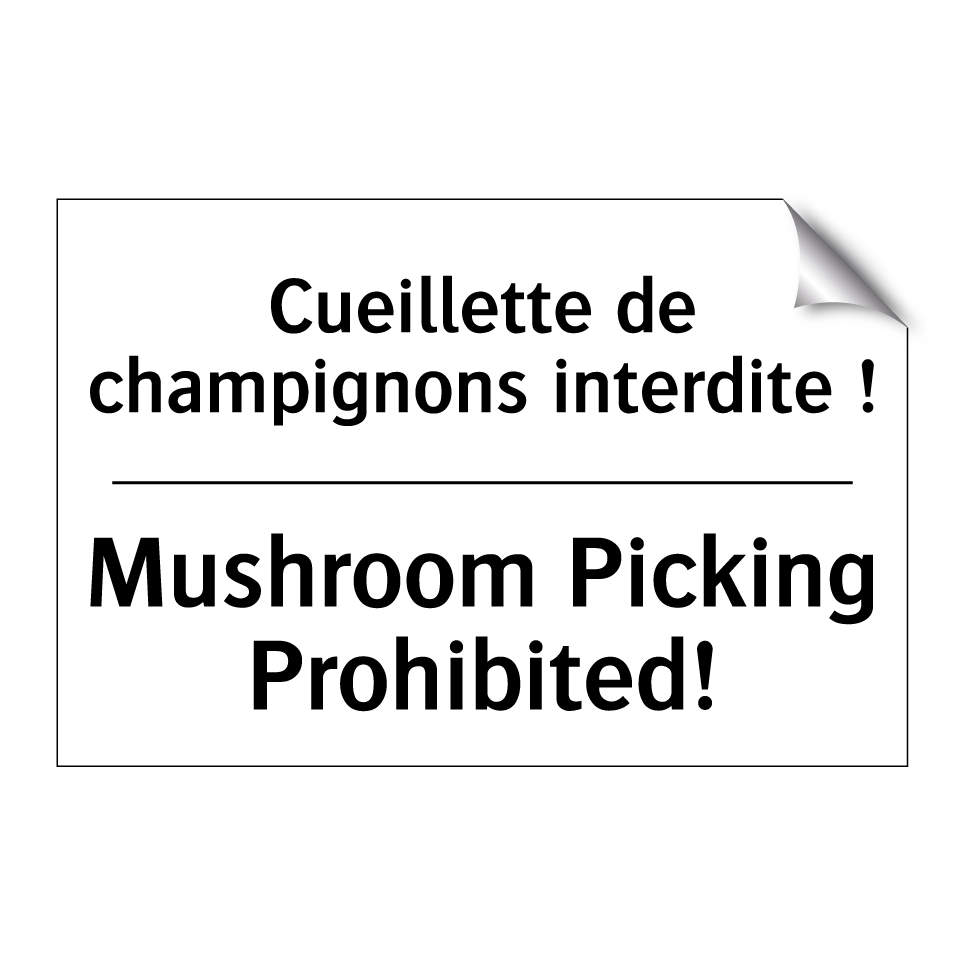 Cueillette de champignons interdite /.../ - Mushroom Picking Prohibited!