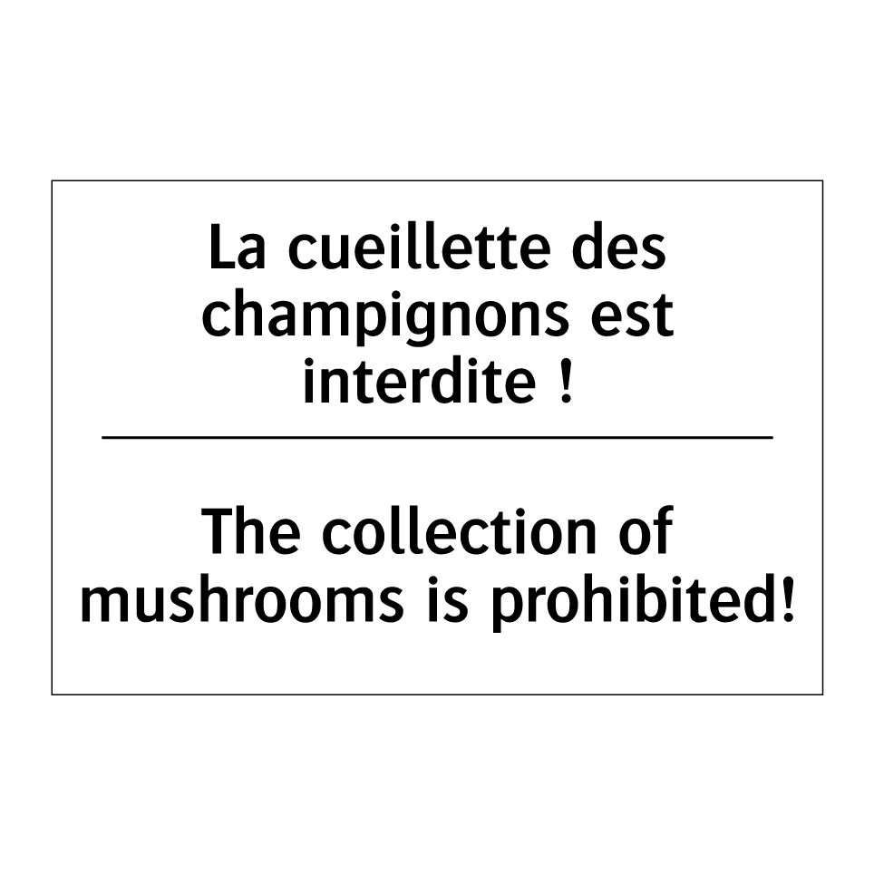 La cueillette des champignons /.../ - The collection of mushrooms is /.../