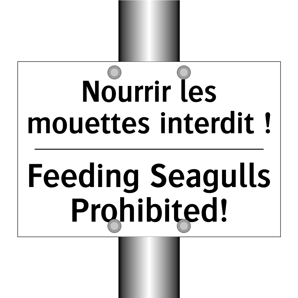 Nourrir les mouettes interdit /.../ - Feeding Seagulls Prohibited!