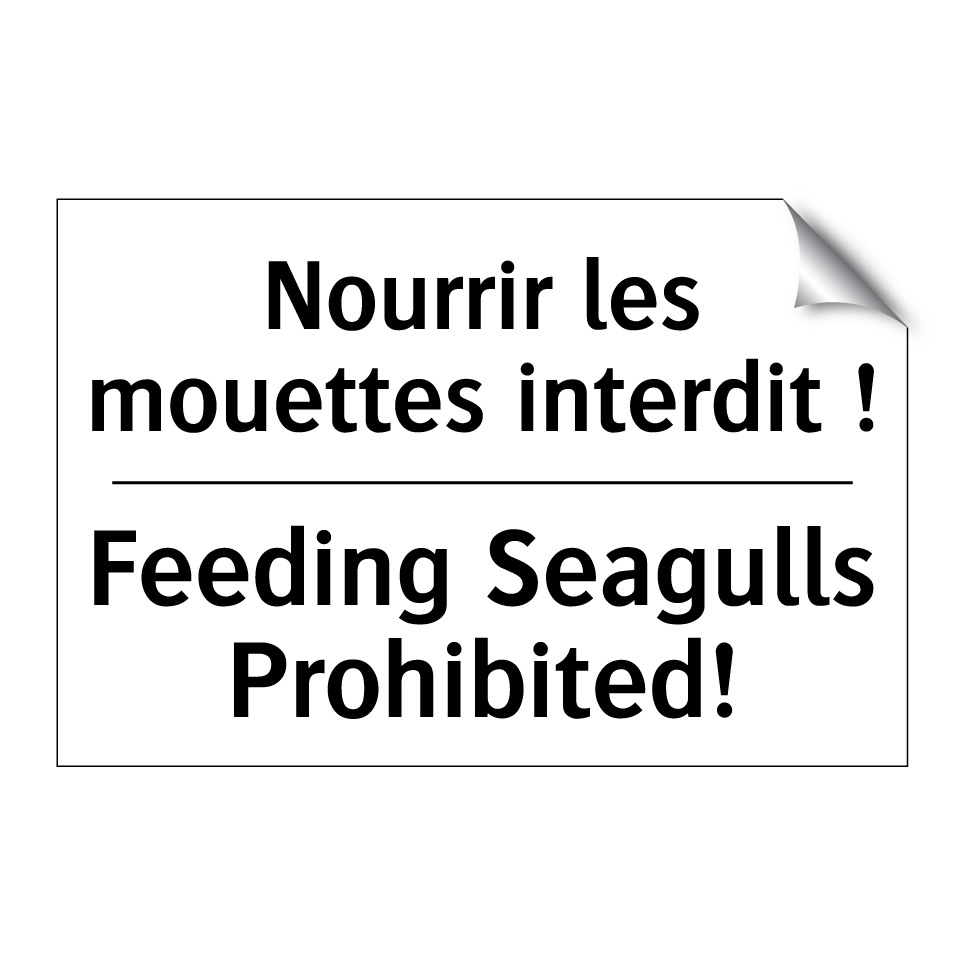 Nourrir les mouettes interdit /.../ - Feeding Seagulls Prohibited!