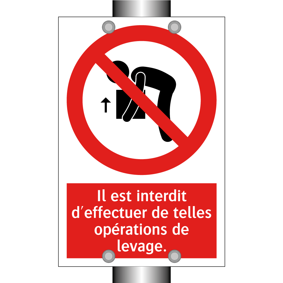Il est interdit d'effectuer de telles opérations de levage.