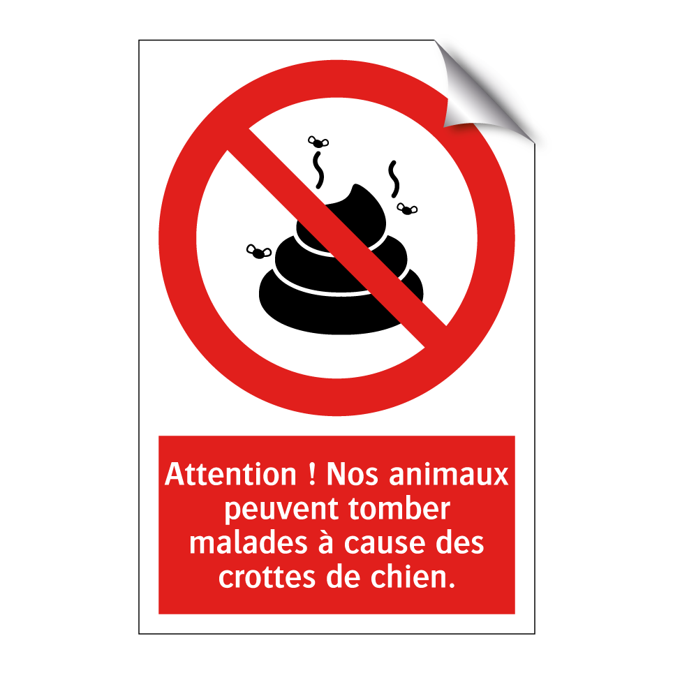 Attention ! Nos animaux peuvent tomber malades à cause des crottes de chien.