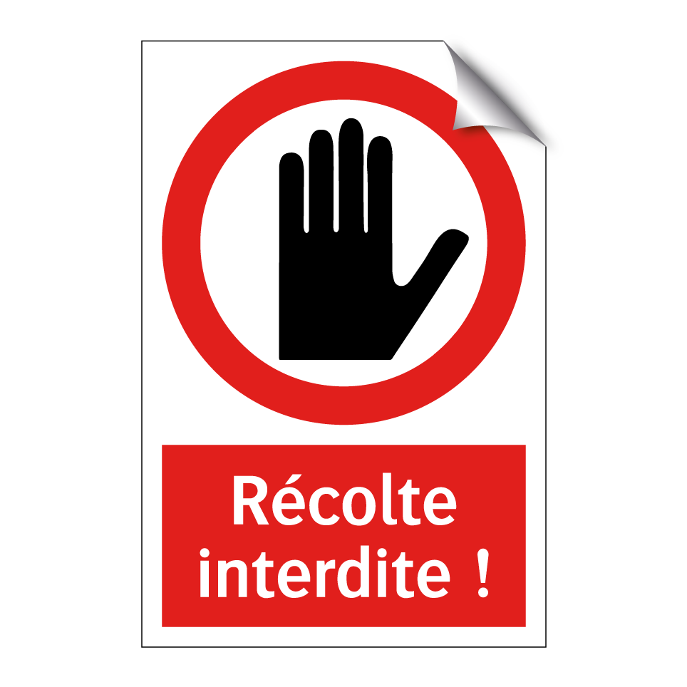 Récolte interdite !