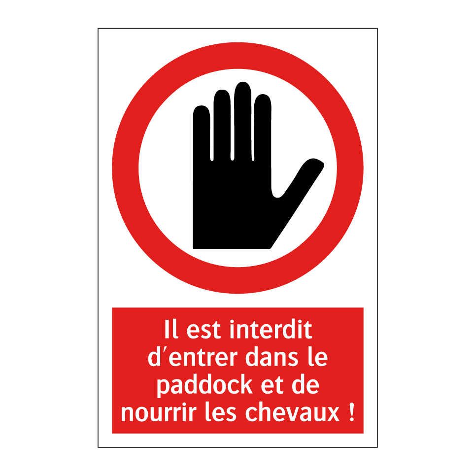 Il est interdit d'entrer dans le paddock et de nourrir les chevaux !