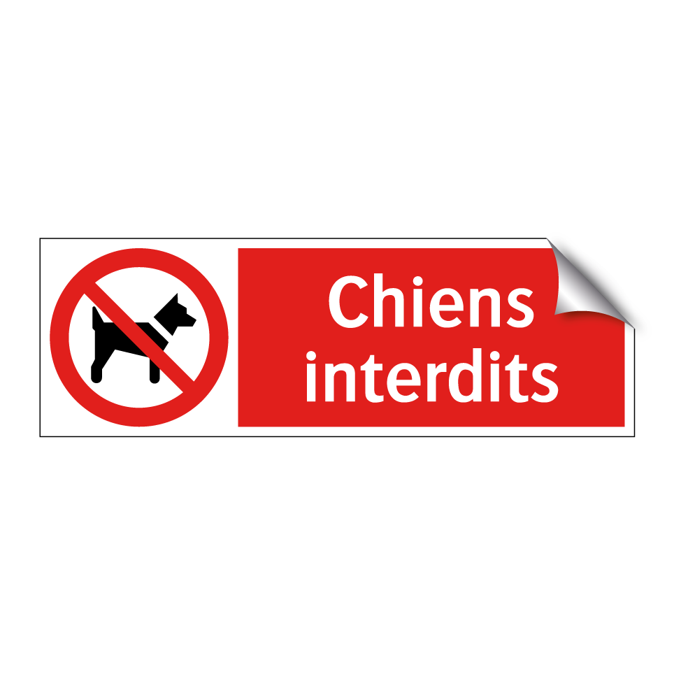 Chiens interdits