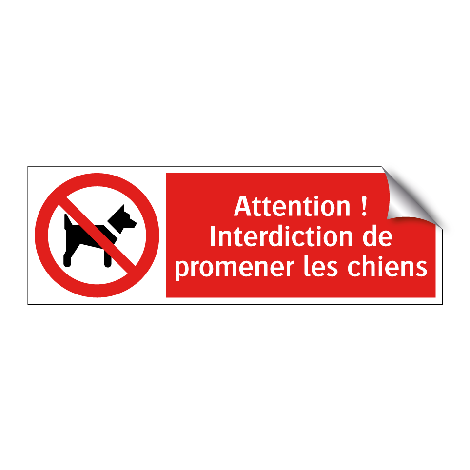 Attention ! Interdiction de promener les chiens