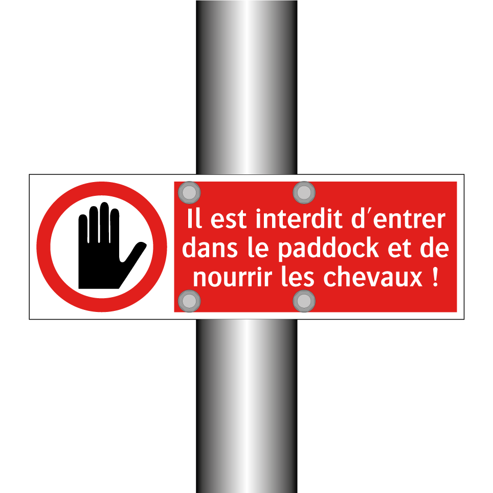 Il est interdit d'entrer dans le paddock et de nourrir les chevaux !